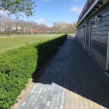 Vakantiewoningen De Schelp Renesse Zewnętrze zdjęcie
