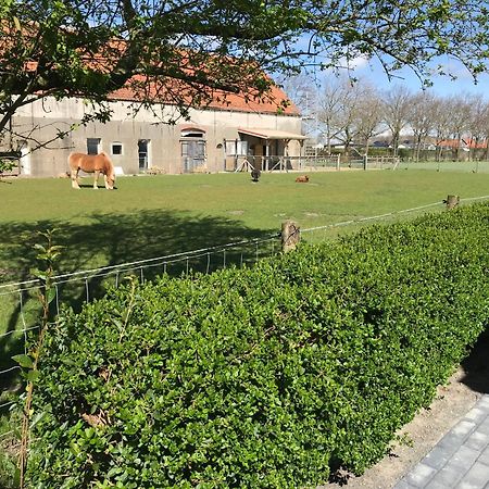 Vakantiewoningen De Schelp Renesse Zewnętrze zdjęcie