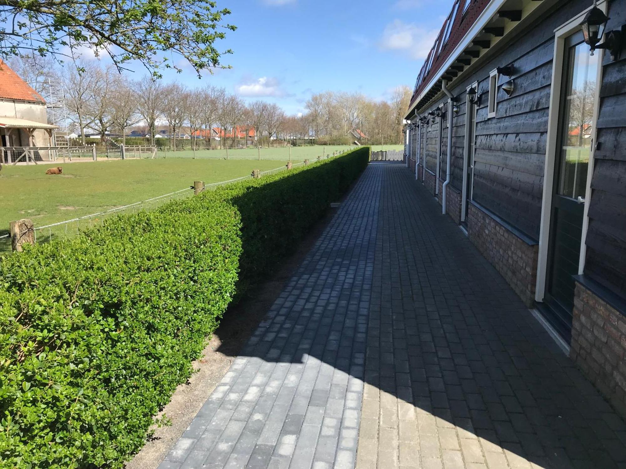 Vakantiewoningen De Schelp Renesse Zewnętrze zdjęcie