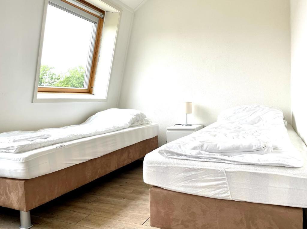 Vakantiewoningen De Schelp Renesse Zewnętrze zdjęcie