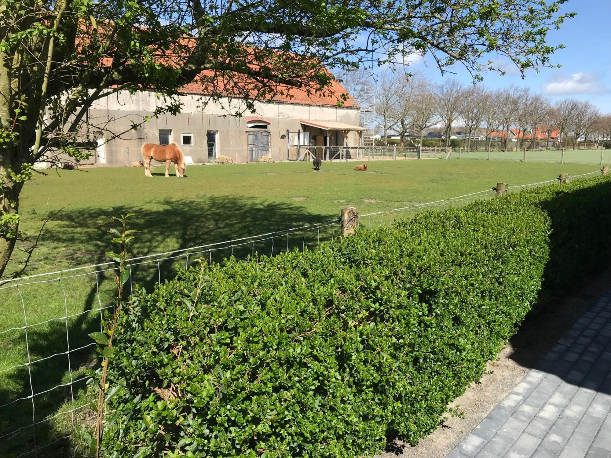 Vakantiewoningen De Schelp Renesse Zewnętrze zdjęcie